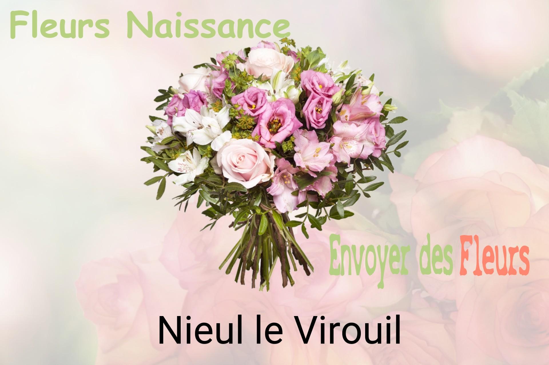 Bouquet de fleurs de naissance livré à Nieul-le-Virouil